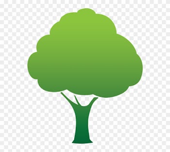Tree Graphic - Clipart Library - Tree Flat Icon Png