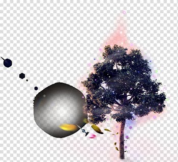Tree Graphic design Petal, Halo tree transparent background PNG clipart