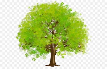 Tree Green Clip art - Large Green Tree PNG Clipart 