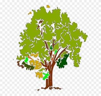Tree Green Nature Grass Plant Season Park Garden - Tree Green Nature Grass Plant Season Park Garden