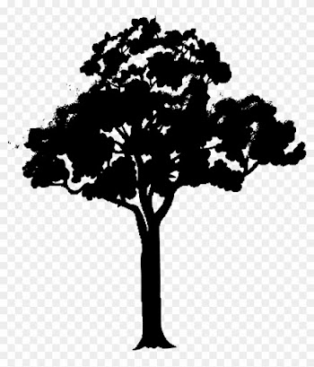 Tree - Green Tree With Branches