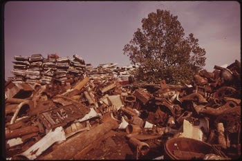 Tree Grows In Philadelphia Junkyard, | Free Photo - rawpixel