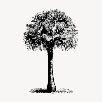 Tree hand drawn clipart, Australian | Free Vector - rawpixel