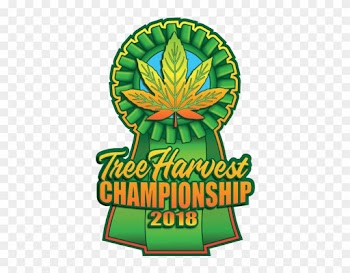 Tree Harvest Festival