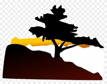 Tree, Hill, Sunset, Landscape, Twilight - Bonsai Tree Clip Art