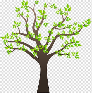 Tree house Coconut Arecaceae, tree transparent background PNG clipart