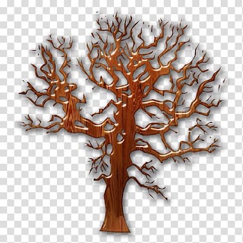 Tree house Wood Twig Evergreen, tree transparent background PNG clipart
