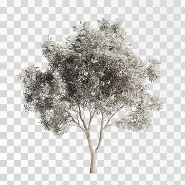 tree, hyper realistic, white background, ultra sharp pixels,