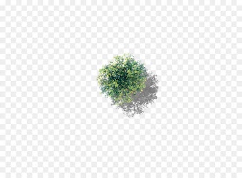 Tree Icon - Overlooking poplar 