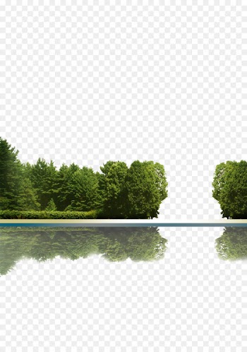 Tree Icon - Trees reflection 