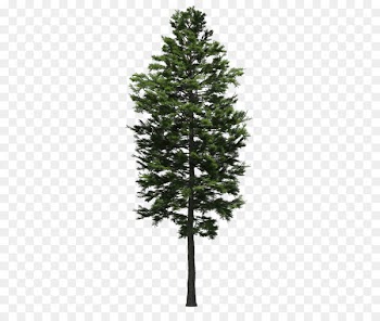 Tree Image Stock photography Royalty-free - landscape garden 