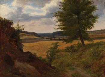 Tree in field landscape, study, | Free Photo - rawpixel