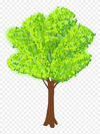 Tree In Summer - Summer Clip Art Tree
