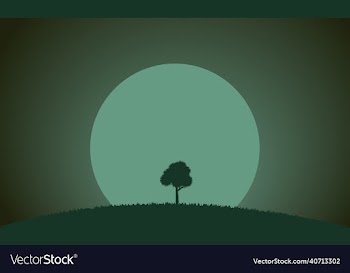 tree in the night silhouette
