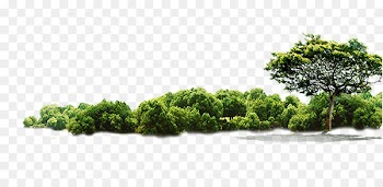 Tree Jungle - Green Tree 