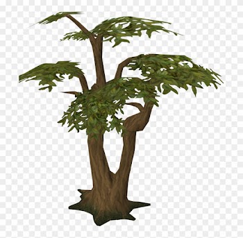 Tree - Jungle Tree Transparent