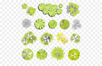 Tree Landscape Euclidean vector Illustration - Landscape design plant plan 