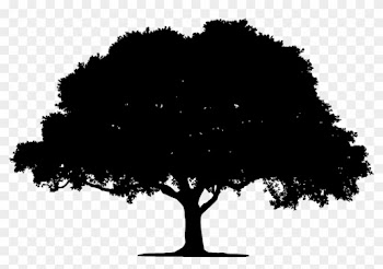 Tree, Landscape, Plant, Leaf, Leaves, Vegetation - Silhouette Of A Tree