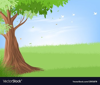 Tree landscape vector image
