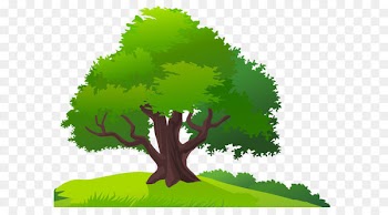 Tree Lawn Clip art - Tree and Grass PNG Clipart Image 