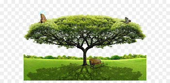 Tree Layers - Tree green natural landscape 