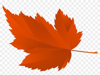 Осенние Листья Для Оформления Школьной Доски Или Группы - Tree Leaf