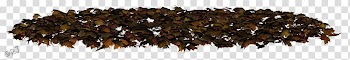 Tree Leaf Bit, tree transparent background PNG clipart