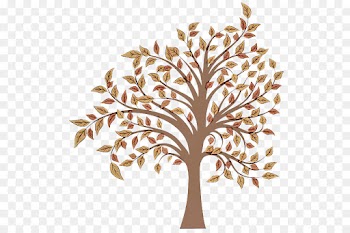 tree leaf branch plant woody plant