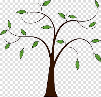 Tree Leaf Branch , tree transparent background PNG clipart