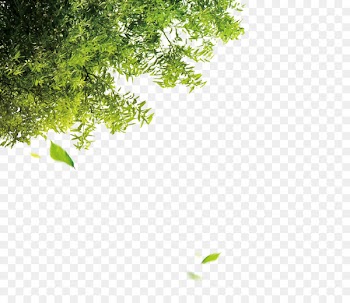 Tree Leaf Computer file - Trees 