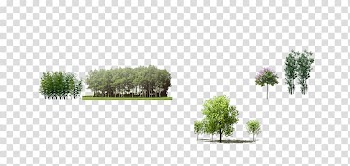 Tree Leaf Icon, tree transparent background PNG clipart