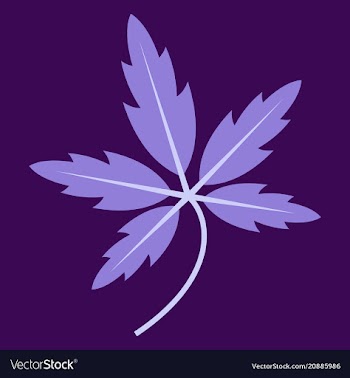 Tree leaf in flat style vector image