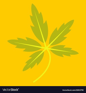 Tree leaf in flat style vector image