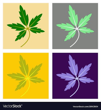 Tree leaf in flat style vector image