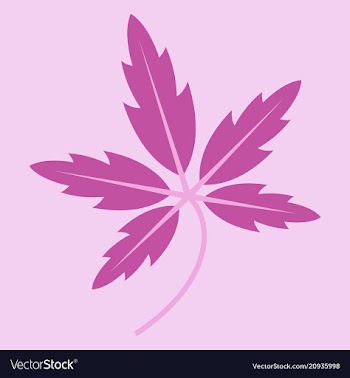 Tree leaf in flat style vector image