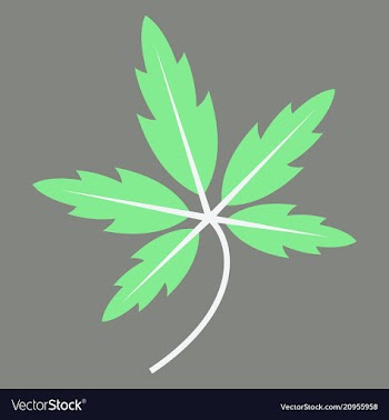Tree leaf in flat style vector image