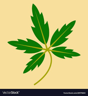 Tree leaf in flat style vector image