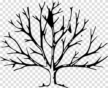 Tree Leaf Trunk Oak , tree transparent background PNG clipart