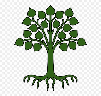 Tree Leaves Roots Green Pictogram - Cartoon Tree With Roots