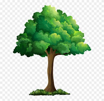 Tree Leavescartoon Pictureclip Art - Clip Art Summer Tree