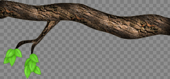Tree Limb PNG Transparent Tree Limb.PNG Images. | PlusPNG
