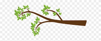 Tree Limb - Tree Branch Clipart