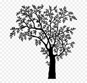 Tree Line Art 17, - Tree With Leaves Silhouette