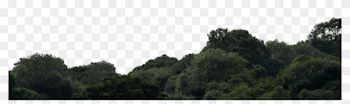 Tree Line Transparent Background, HD Png Download - 1600x400 ...