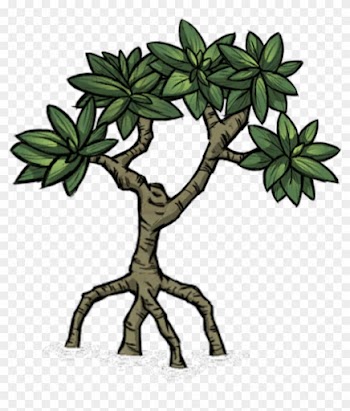 Tree/mangrove Tree - Dont Starve Trees