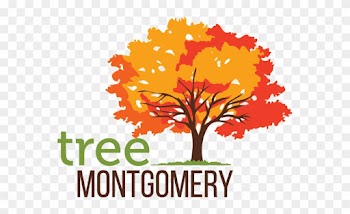 Tree Montgomery Logo - Autumn Tree Logo