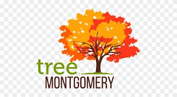 Tree Montgomery Tree Montgomery - Tree