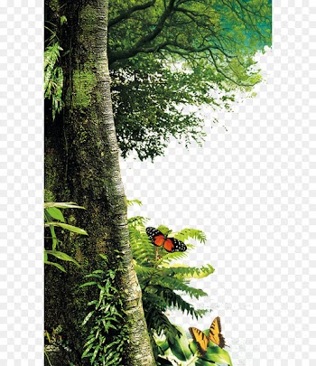 Tree Nature Landscape painting Leaf - Forest trees 