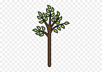 Tree Nature - Tree Nature