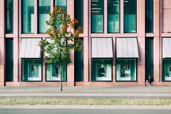 tree near road and pink building